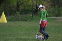 /album/poslusnost-triky-saba/saba-opohar-pnova-2011-jpg/